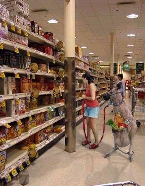 Kangourou pour faire les courses