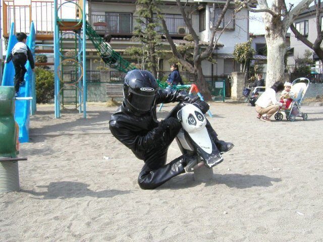Motard sur un panda