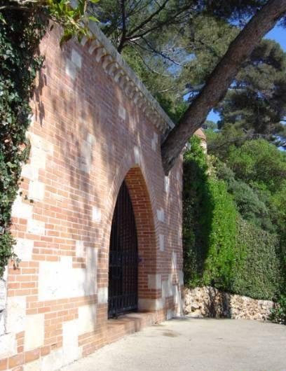 Arbre qui sort du mur