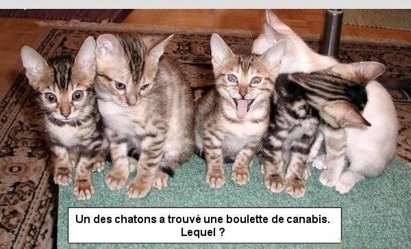 Les ravages de la drogue