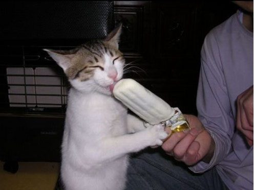 Une bonne glace