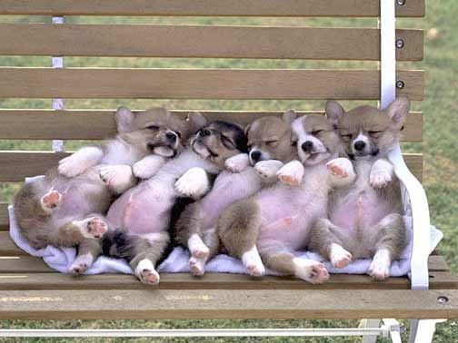 Tous assis sur un banc