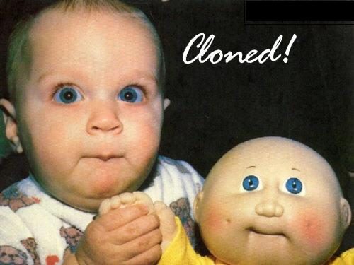 Bébé cloné