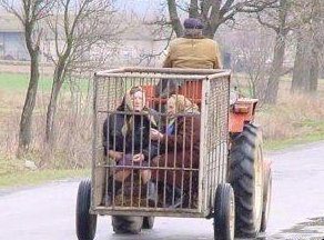 Drôle de transport