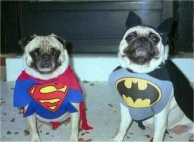 Carnaval