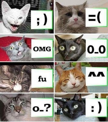 Les smileys vus par les chats