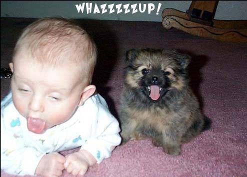 Whazzzzzzzup !