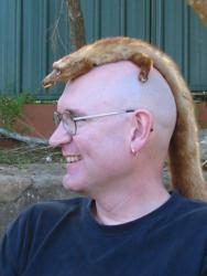 Coupe furet