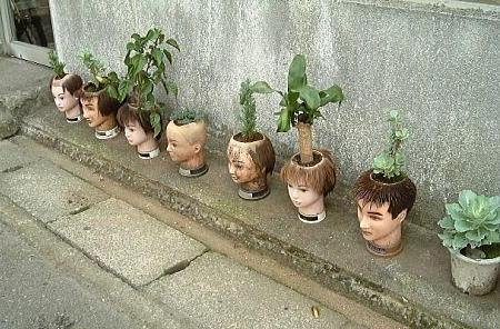 Pots de fleurs la tête verte
