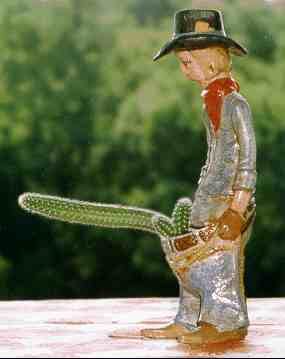 Cactus de cow-boy