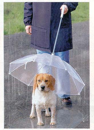 Laisse-parapluie