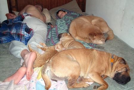 Tout le monde au lit !