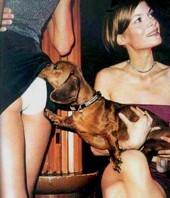 Chien obsédé !