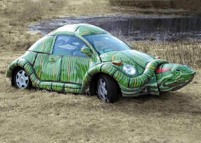 New beattle tortue