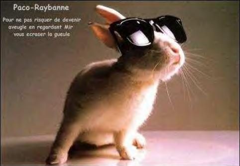 Les lunettes de Paco