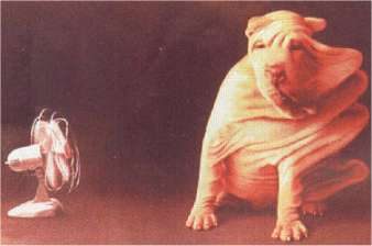 Chien dans le vent