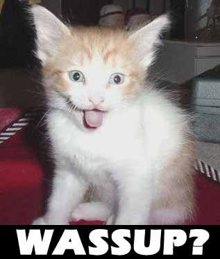 Chat wassup