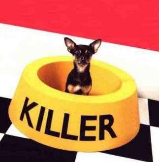 Killer le chien