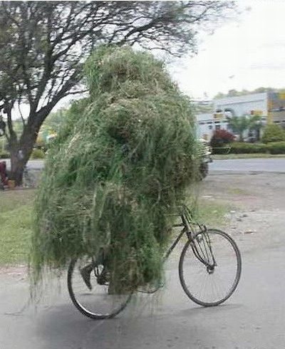 Vélo chargé