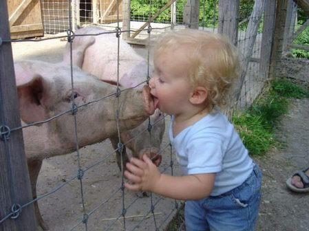 Copain comme cochon