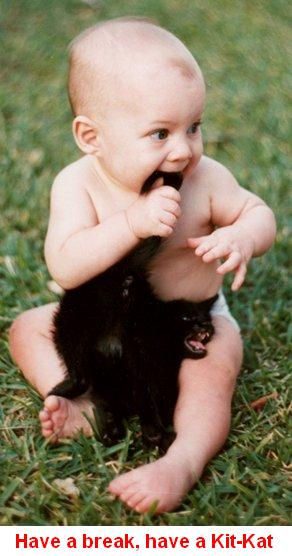 Prenez une pause, mangez un kit Cat