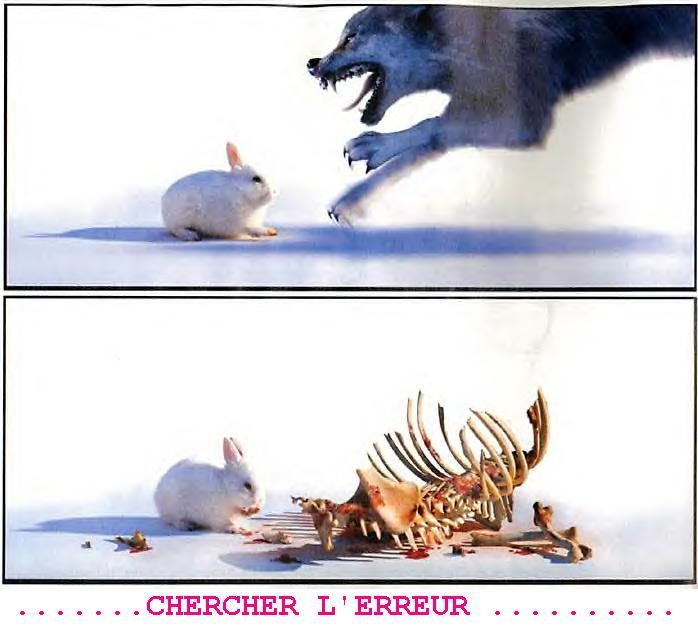 Lapin dangereux