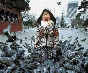 Cet enfant n'aime pas les pigeonts