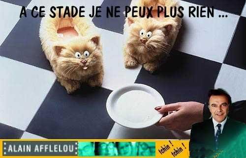 Chat chaussons