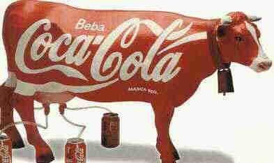 Vache coca cola