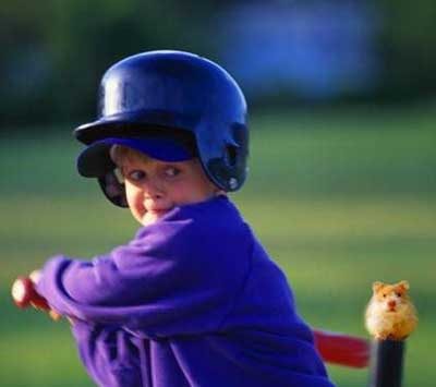 Baseball sur un hamster !