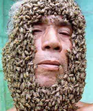 Visage remplis d'abeilles