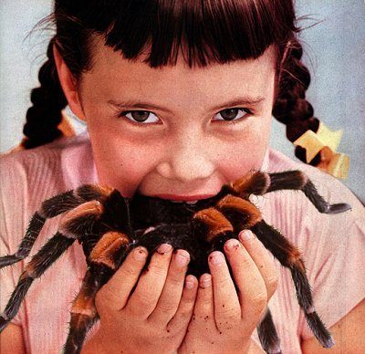 Une fillette mangue une énorme araignée !