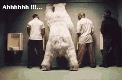 Un ours a un urinoir