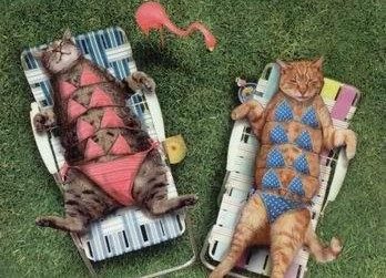 Bronzette en bikini