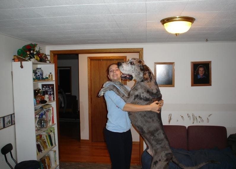 Le chien qui danse